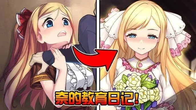 奈的教育日记 奈的调教日记绅士游戏角色事件 封面图